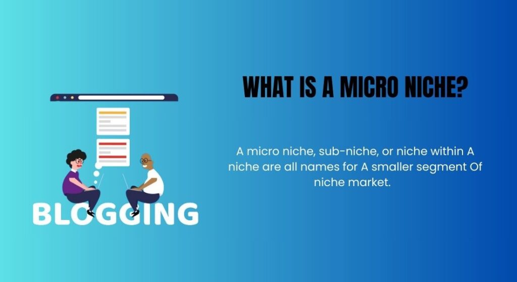 What Is A Micro Niche Site?