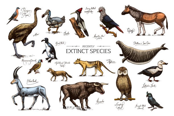 Extinct Animals: Lessons from the Lost Giants of Earth