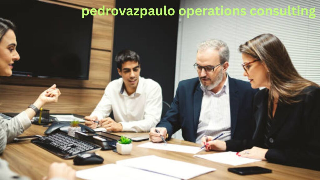 pedrovazpaulo operations consulting